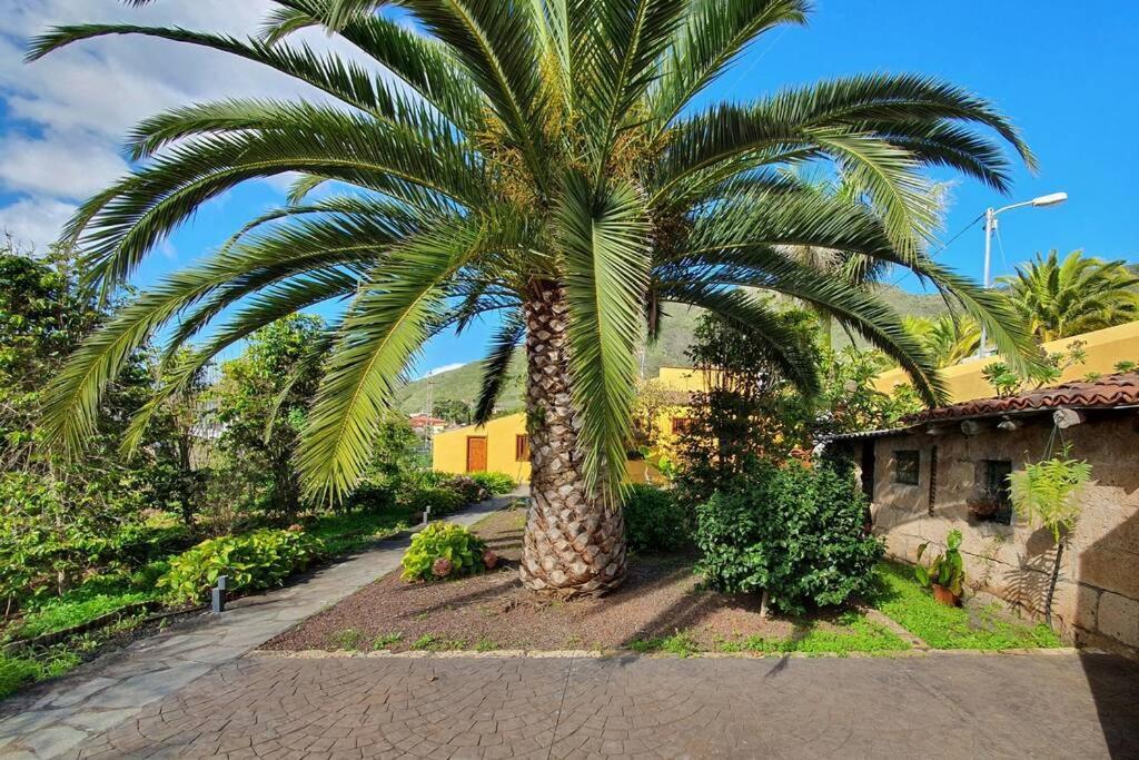 Casa Emblematica Appartement Tegueste Buitenkant foto